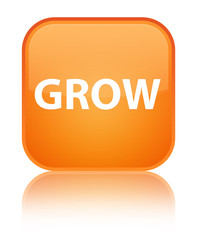 Grow special orange square button