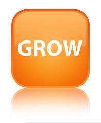 Grow special orange square button