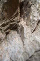 Stone Texture