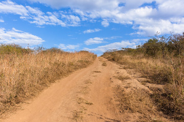 Dirt Road Track Wilderness Landscape