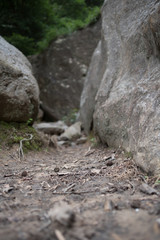 Dirt Path and Stones