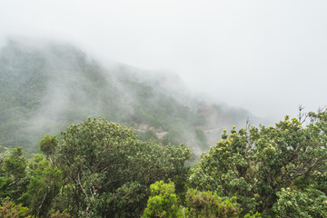 Nebel und Wolkenbildug entlang der TF-134 auf Teneriffa