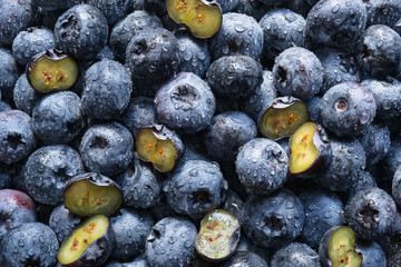 Blueberry background