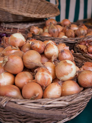 A baskets of onions at farmers market in Paris (France)