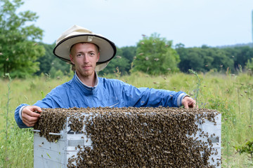 The beekeeper works near a hive with bees. Apiculture.