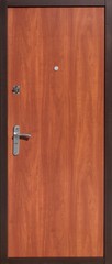 Obraz premium Entrance door (metal door)