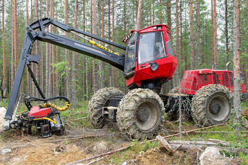 Harvester machine working in a forest. Northern Karelia, Russia