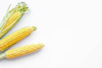 Organic farm food. Corn on cobs on white background top view copyspace