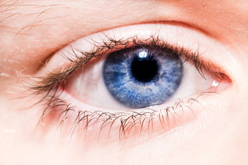 Beautiful macro photography of woman eye