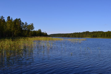 Lake in Sweden