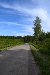 Roads in forest in Sweden