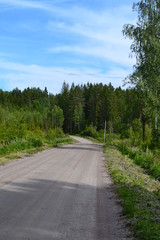 Fototapeta na wymiar Roads in forest in Sweden