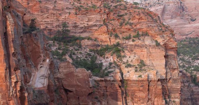 The red rock cliffs of Zion National Park rise from the deep canyon bottom.