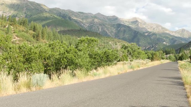 The Mount Nebo Loop Scenic Drive passes through the Uintah National Forest.
