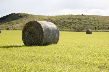 Fototapeta premium Bales of Hay in Grassy Field