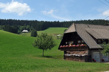 Black Forest House Traditional called `Schwarzwaldhof´