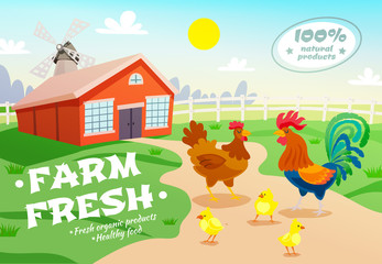 Chicken Farm Advertising Background