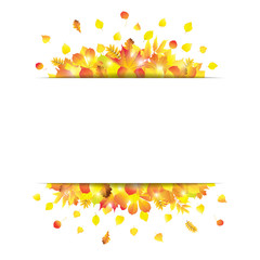 Bright and shiny autumn background with different autumn leaves and rectangular space for text. Vector illustration.