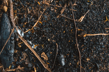 Coal burnout texture. Ashes. Bonfire.