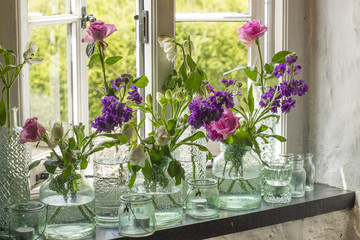 Jars of flowers on windowsill