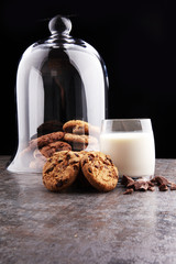 Chocolate cookies on white background. Chocolate chip cookies sh
