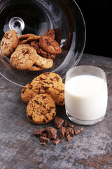 Chocolate cookies on white background. Chocolate chip cookies sh