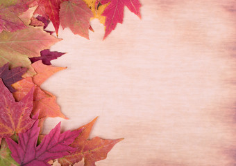 Naklejka na ściany i meble Border of Colorful Autumn Leaves on a Vintage Background