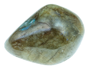 polished labrador (labradorite) gemstone isolated