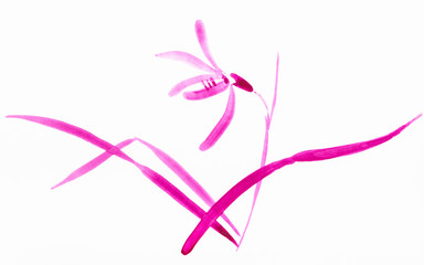 Fototapeta na wymiar magenta sketch of orchid flower
