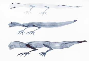 sketches of lizards on white paper