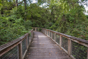 Obraz premium Wooden Walkway