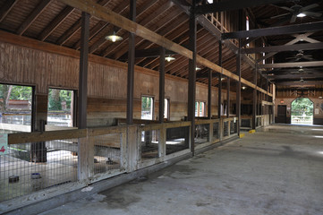 Obraz premium Old Barn