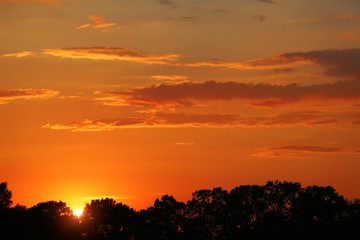 Fototapeta na wymiar Sunset over a forest