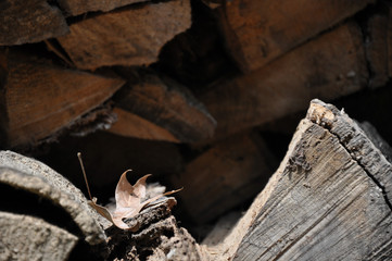 Obraz premium Chopped Wood