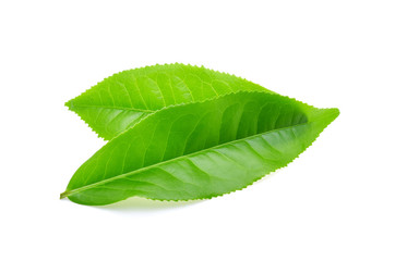 green tea leaf isolated on white background