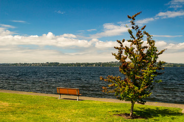 lake bench