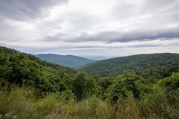 Skyline Drive Virginia