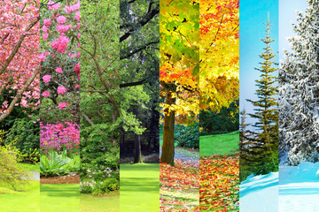 Spring, summer, fall, winter collage