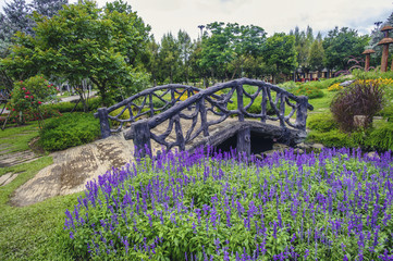 Landscape flower garden in the rainy season