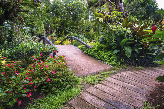 landscape garden flower and walkway
