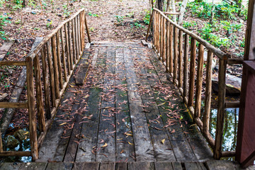 Wooden bridge small over the river in nation prak