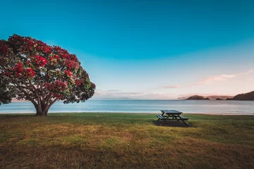 Stickers pour porte Nouvelle-Zélande Lever du soleil sur la plage de Paihia en Nouvelle-Zélande