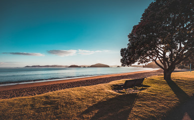 Zonsopgang in Paihia Beach in Nieuw-Zeeland