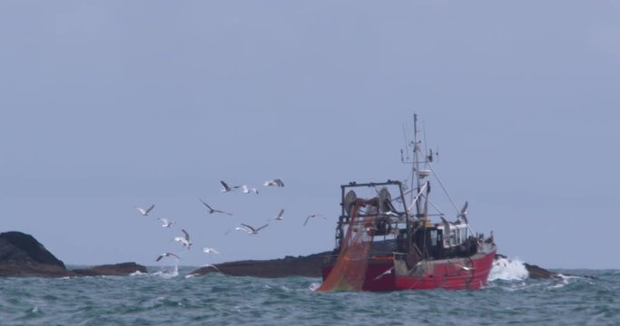 Seagulls gather over red fishing trawler near coastal rocks. Slow motion
