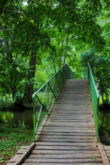 marais poitevin 