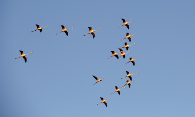 Sète étang de thau