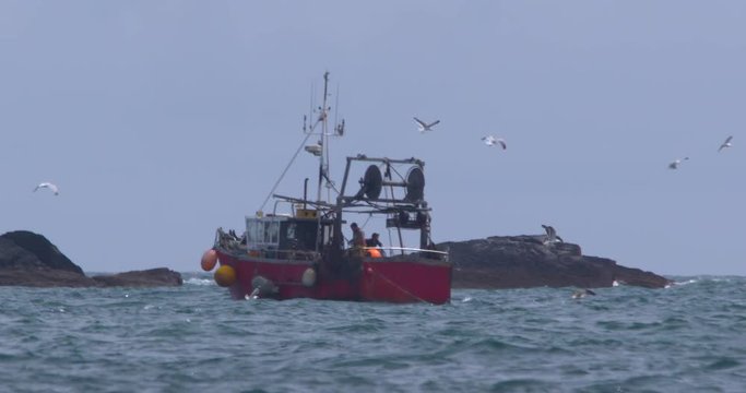 Seagulls hover over red fishing trawler near coastal rocks. Slow motion