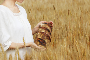 小麦畑でピクニック