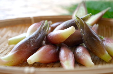 みょうが