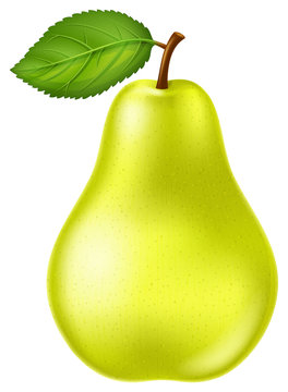Fresh and ripe yellow green pear with green leaf. Vector illustration.